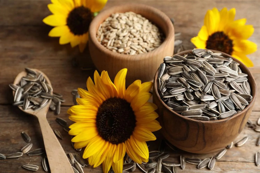 Buy Pumpkin and Sunflower Seed Mix Online: What You Need to Know